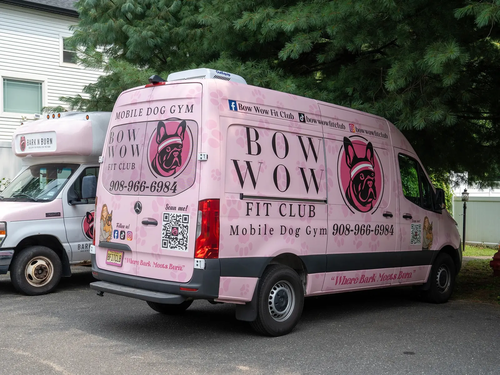 BOW WOW FIT CLUB full wrap — rear three-quarter